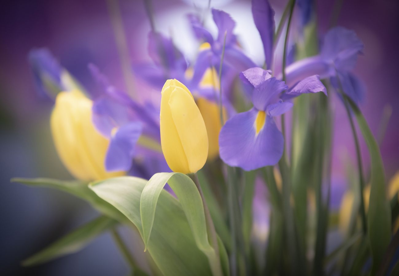 Appartement à San Sebastián - Santa Clara by Oldtown SS Apartments Appartement à San Sebastián - Santa Clara by Oldtown SS Apartments