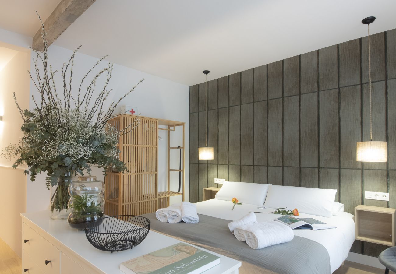 Studio à San Sebastián - SHINY BY OLDTOWN APARTMENTS Studio à San Sebastián - SHINY BY OLDTOWN APARTMENTS